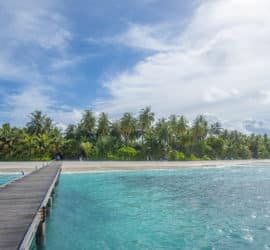 Reif für die Insel? - Die Malediven von günstig bis teuer