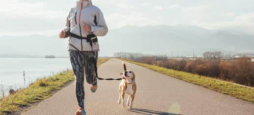 Mit dem Hund Sport treiben - was ist zu beachten?