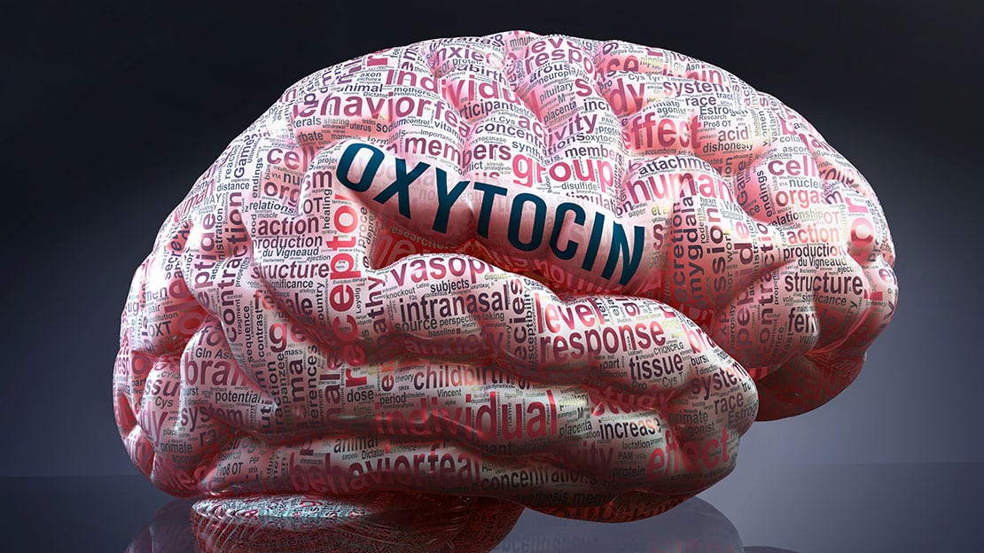 Das Hormon Oxytocin und seine erstaunliche Wirkung